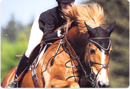 London & Shelley Campf